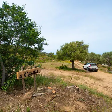 アパート Maisonnette En Plein Maquis Vue Splendide A 5 Min Du Centre Et De La *
