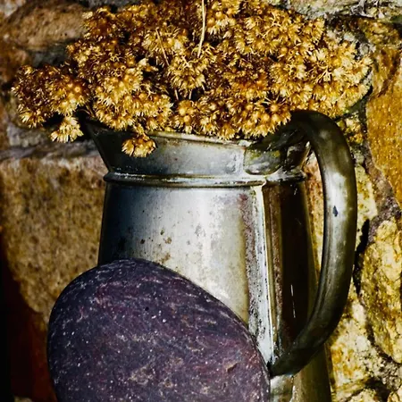 Maisonnette En Plein Maquis Vue Splendide A 5 Min Du Centre Et De La