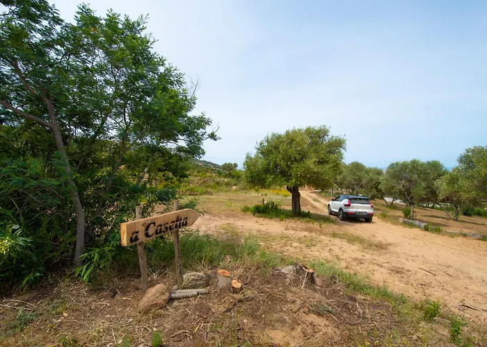 Apartment Maisonnette En Plein Maquis Vue Splendide A 5 Min Du Centre Et De La *