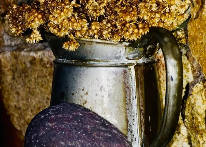 Maisonnette En Plein Maquis Vue Splendide A 5 Min Du Centre Et De La